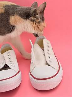 Converse Rainbow Sole