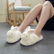 Cozy Slippers