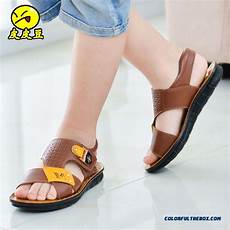 Summer Shoes